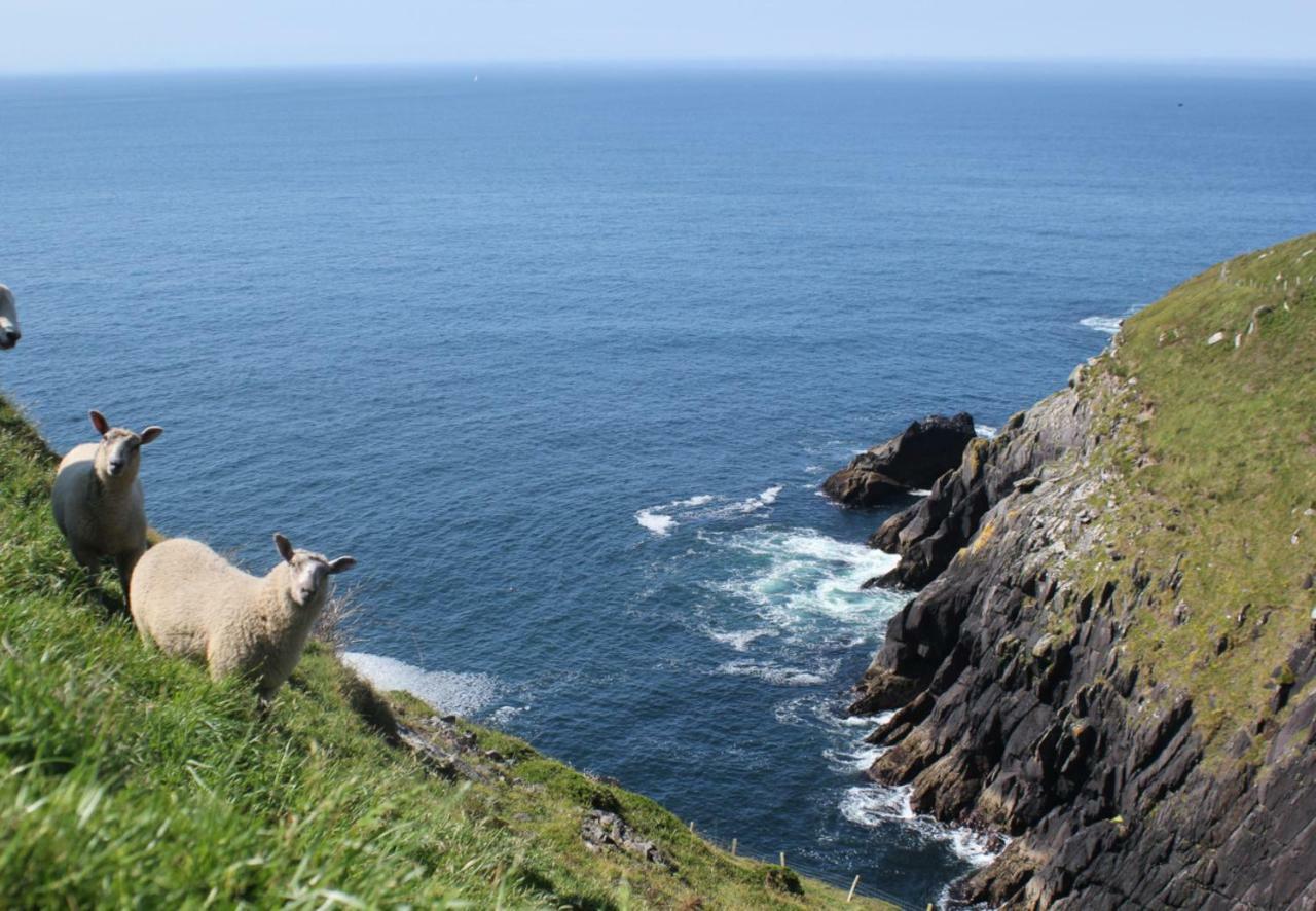 Dingle Bay View By Trident Holiday Homes Extérieur photo